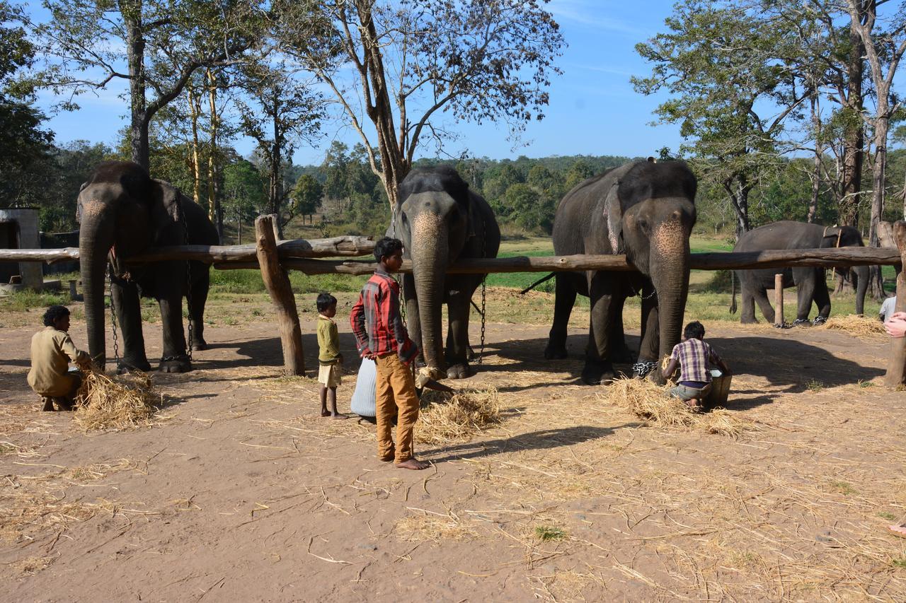 Hotel Red Earth Kabini Begūr Esterno foto